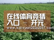 种植基地五