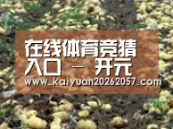 种植基地八(图1)