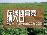 种植基地五(图1)