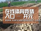 种植基地八
