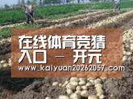 种植基地七(图1)