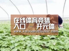 种植基地三