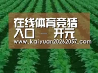 种植基地六(图1)
