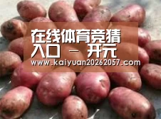 产品展示标题5(图1)