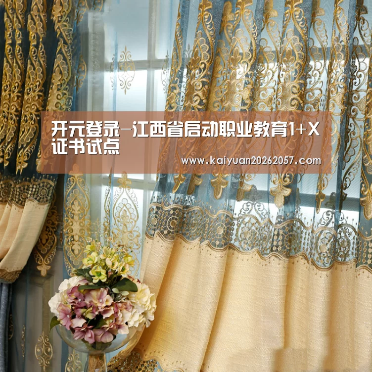 开元登录-江西省启动职业教育1+X证书试点(图2) 开元电竞