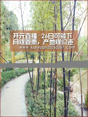 开元直播-26日可领下月煤管票,产地煤价还要涨?(图2) 开元登录