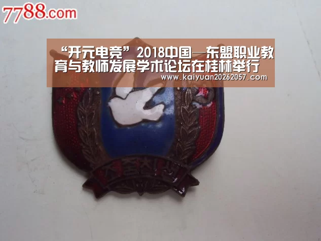 “开元电竞”2018中国—东盟职业教育与教师发展学术论坛在桂林举行(图1) 开元真人