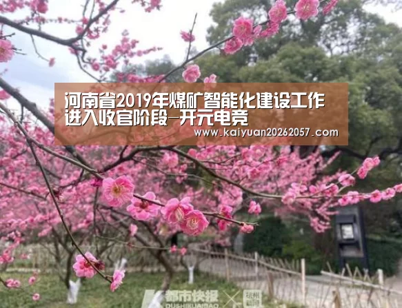 河南省2019年煤矿智能化建设工作进入收官阶段-开元电竞(图1) 开元真人