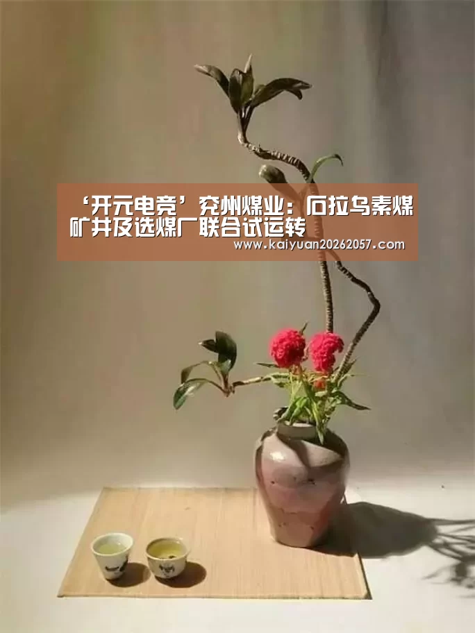 开元登录