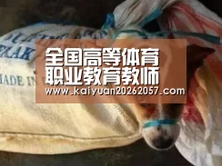 全国高等体育职业教育教师技能大赛在哈尔滨举办“开元真人”(图1) 开元真人