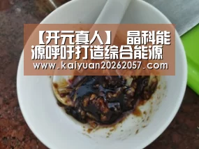 【开元真人】
晶科能源呼吁打造综合能源服务“生态圈”(图3) 开元电竞